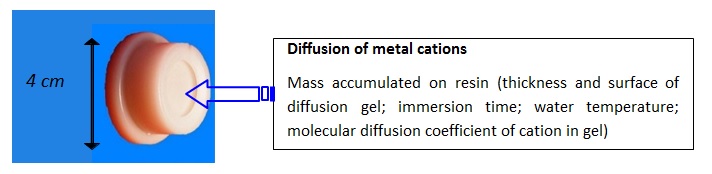 Diffusion of metal cations