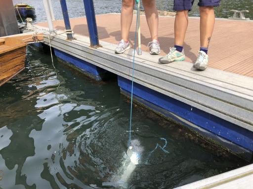 Niskin bottle at Museum day 4
