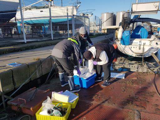 MONITOOL works at Saint Nazaire